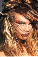 IMG073.GIF