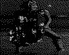 IMG072.GIF.cst.iff