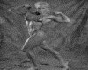 IMG069.GIF.gst.iff