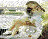 IMG062.GIF.cst.iff