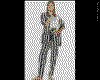 IMG026.GIF.cst.iff