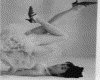 IMG011.GIF.gst.iff