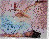 IMG011.GIF.cst.iff