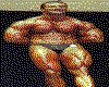 IMG039.GIF.cst.iff