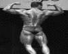 IMG037.GIF.gst.iff