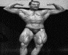 IMG036.GIF.gst.iff