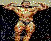 IMG036.GIF.cst.iff