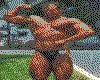 IMG027.GIF.cst.iff
