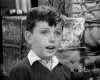 IMG004.GIF.gst.iff
