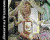 IMG020.GIF.cst.iff