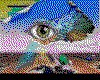 IMG018.GIF.cst.iff