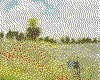 IMG014.GIF.cst.iff