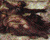 IMG007.GIF.cst.iff