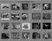 Tiere4_B.IFF