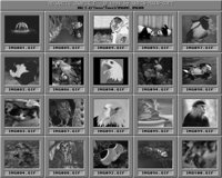 Tiere3_A.IFF