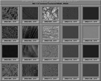 Texturen3_B.IFF