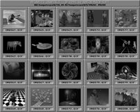 Computergrafik15_A.IFF