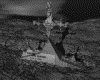 IMG839.GIF.gst.iff