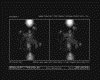 IMG831.GIF.gst.iff