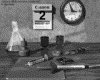 IMG822.GIF.gst.iff