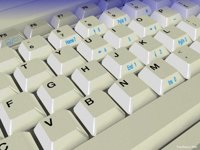 IMG803.GIF
