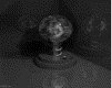 IMG800.GIF.gst.iff