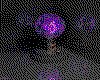 IMG800.GIF.cst.iff