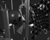 IMG798.GIF.gst.iff