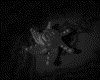 IMG792.GIF.gst.iff