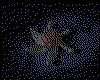 IMG792.GIF.cst.iff