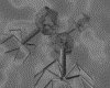 IMG784.GIF.gst.iff