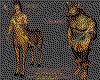 IMG782.GIF.cst.iff