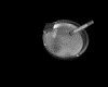 IMG778.GIF.gst.iff