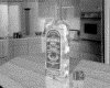 IMG777.GIF.gst.iff
