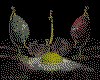 IMG774.GIF.cst.iff