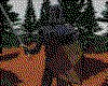 IMG766.GIF.cst.iff