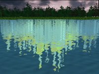 IMG764.GIF