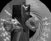 IMG754.GIF.gst.iff
