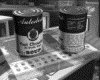IMG749.GIF.gst.iff