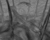 IMG747.GIF.gst.iff