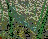 IMG747.GIF.cst.iff
