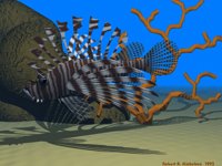 IMG736.GIF
