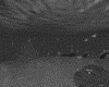 IMG731.GIF.gst.iff