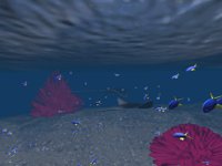 IMG731.GIF