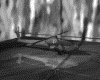 IMG721.GIF.gst.iff