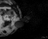 IMG720.GIF.gst.iff