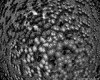 IMG710.GIF.gst.iff
