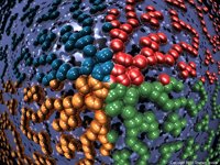 IMG710.GIF