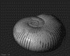 IMG701.GIF.gst.iff