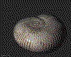 IMG701.GIF.cst.iff